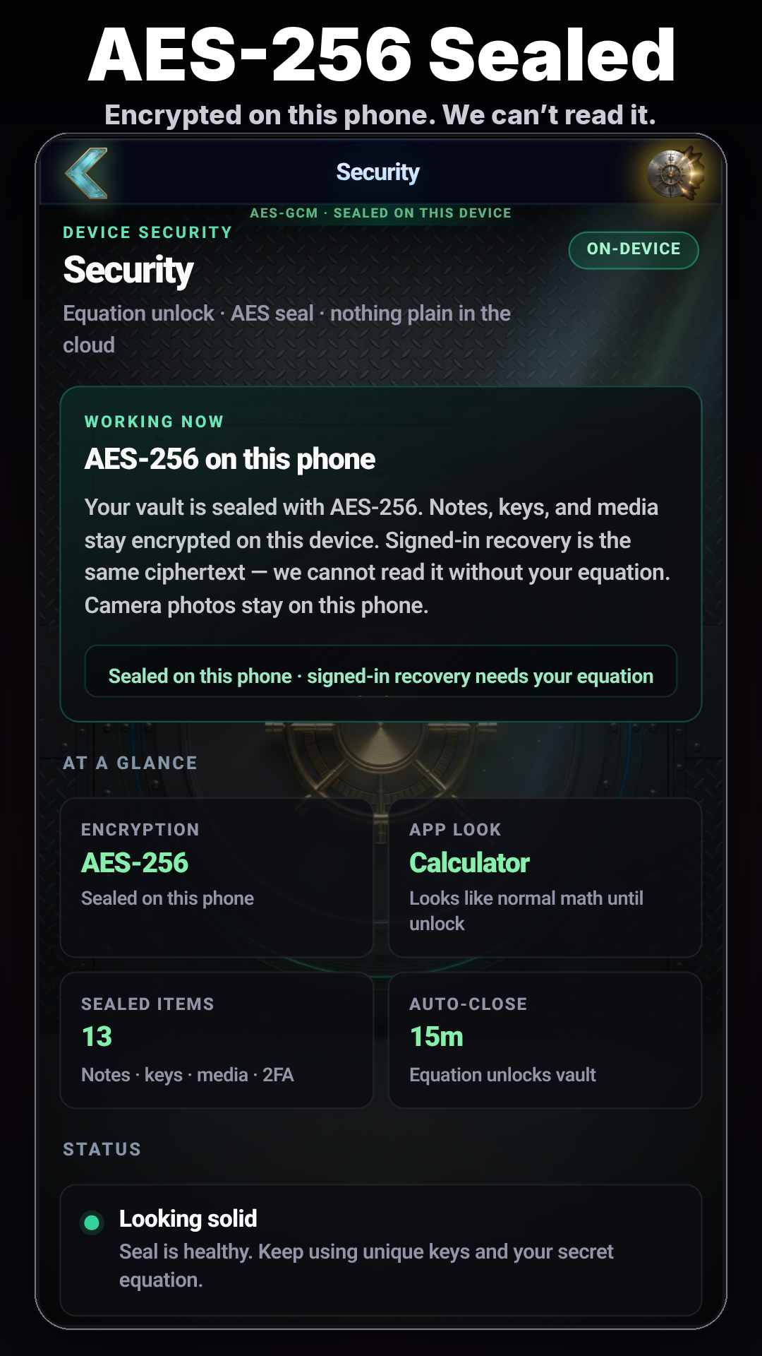 Lock It security screen describing AES-256 encryption of vault contents
