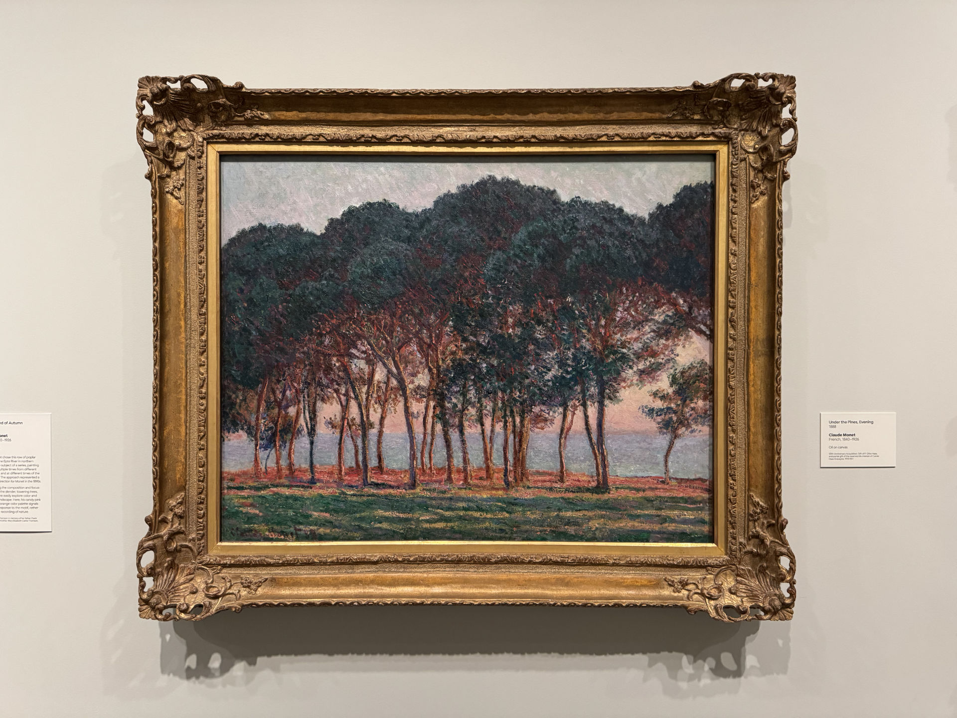 "Under the Pines, Evening" by Claude Monet (1888), Philadelphia Museum of Art